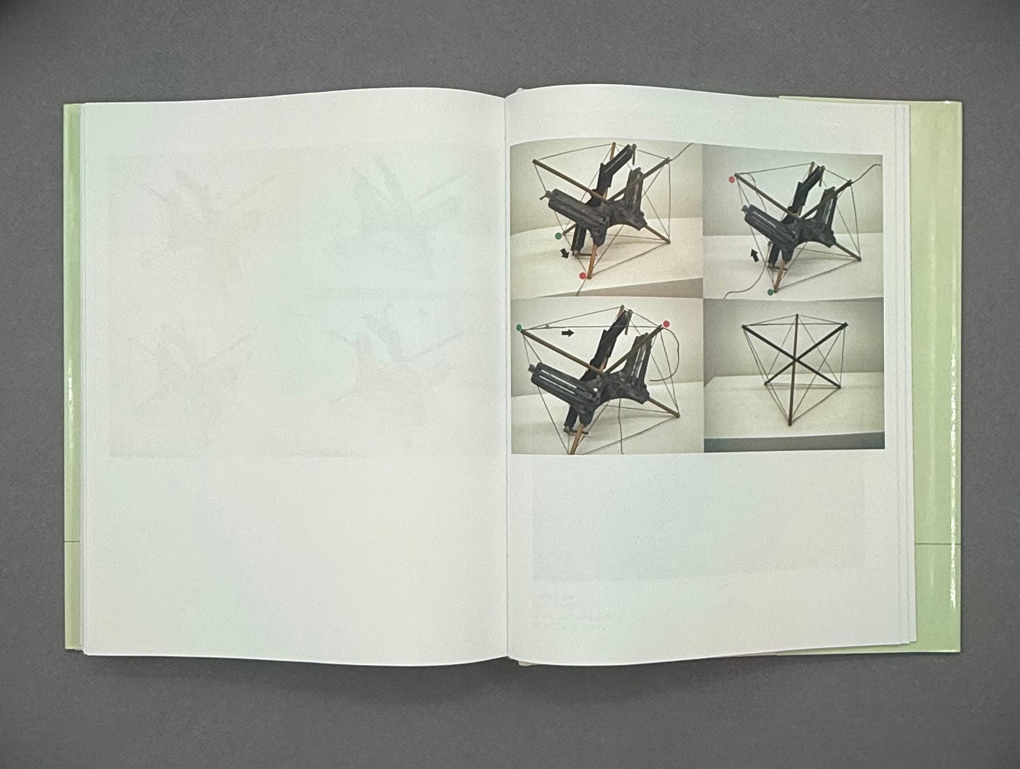 Carol Bove: Manuals 2010