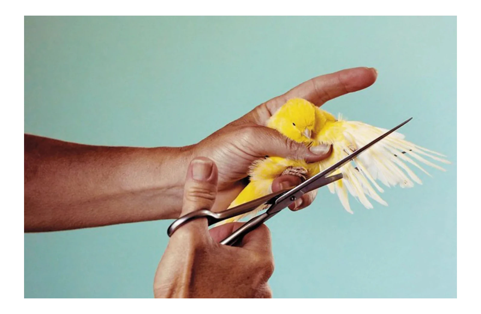 Toiletpaper Magazine N.4