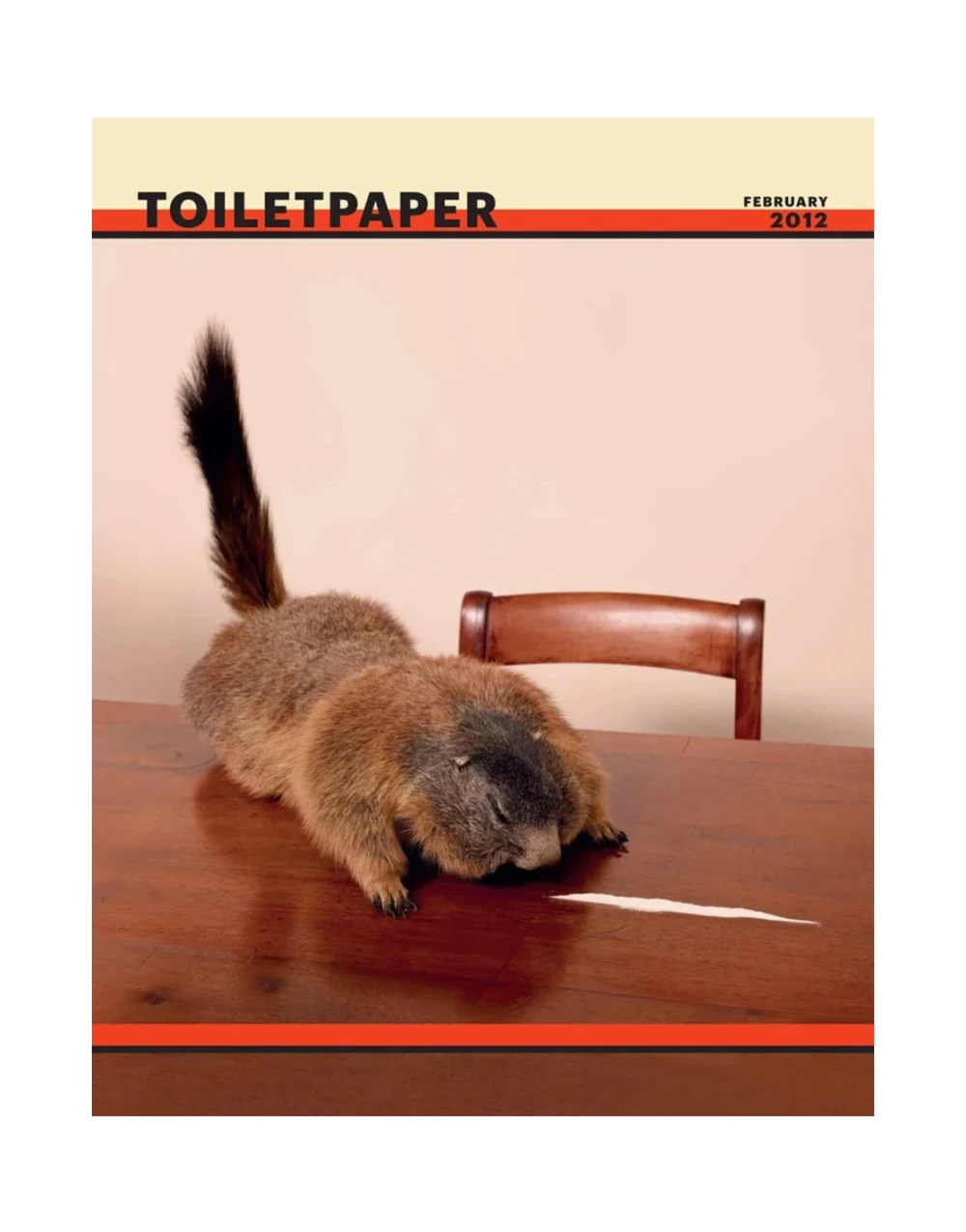Toiletpaper Magazine N.5