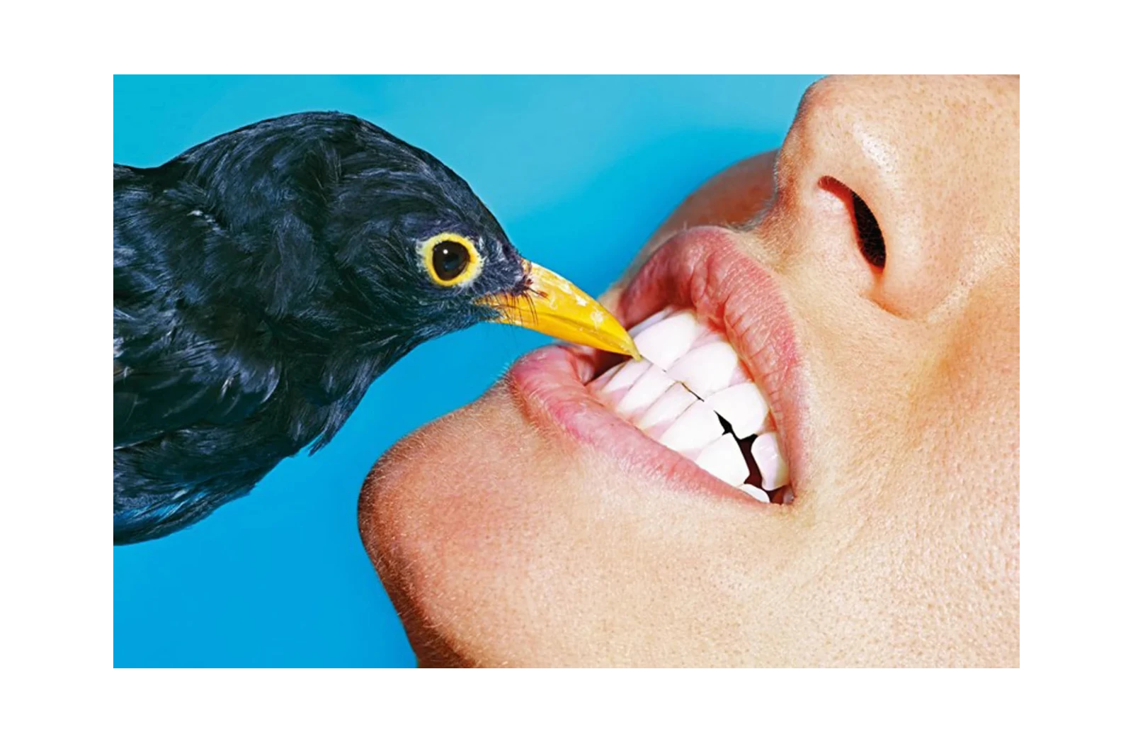 Toiletpaper Magazine N.8