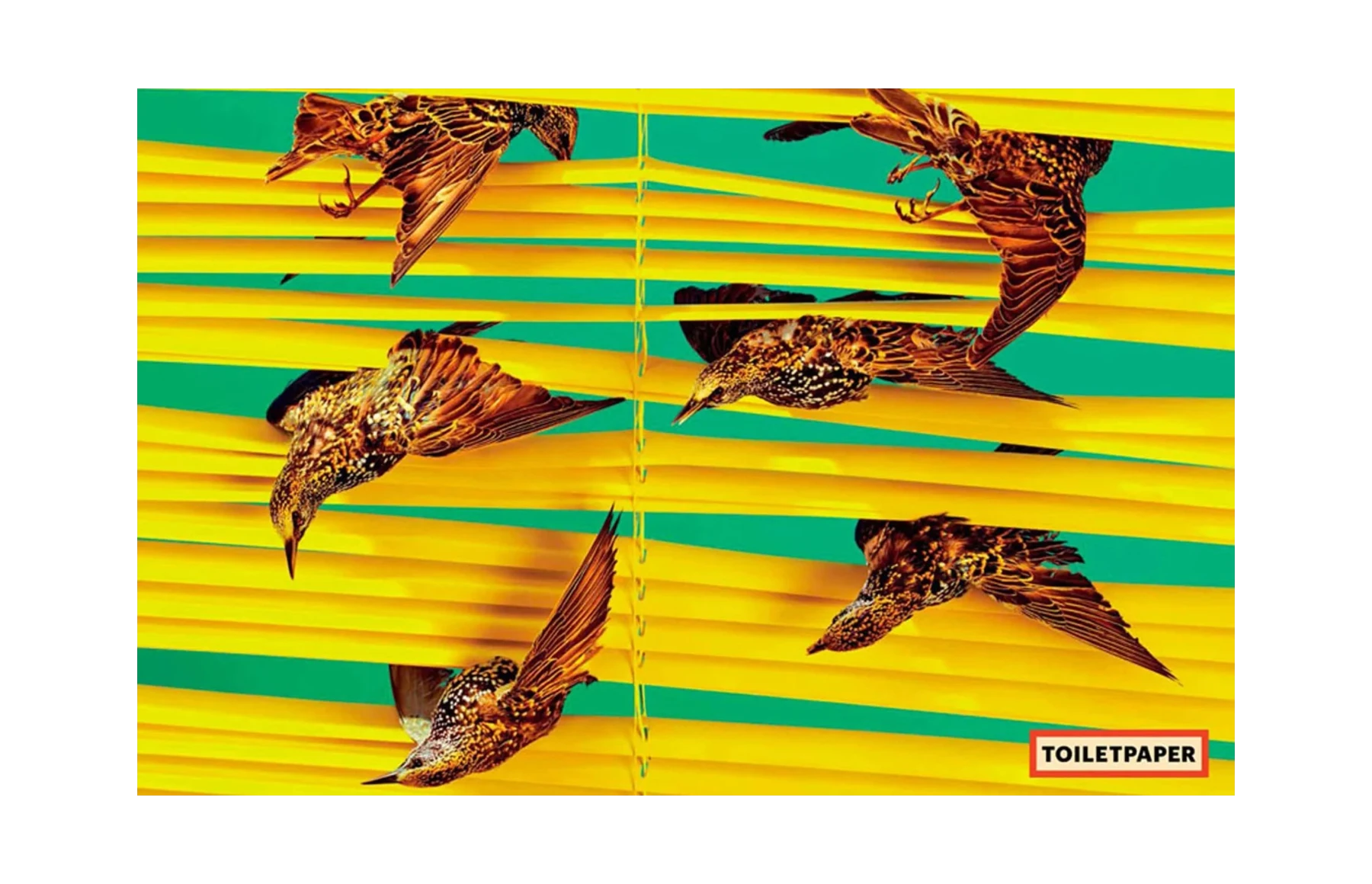 Toiletpaper Magazine N.11