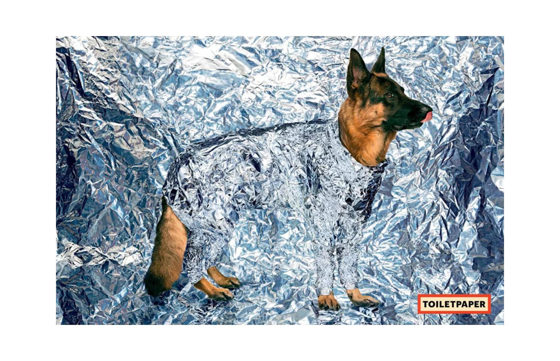 Toiletpaper Magazine N.11